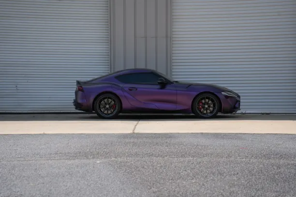 Showreel Bingo Casino Android/iOS App